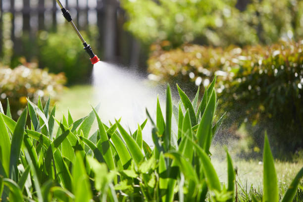 24/7 Emergency Mosquito Control experts in Arbuckle, CA